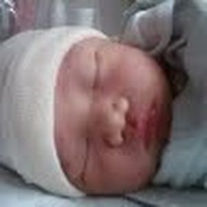 Meet your Posher, Fithrie